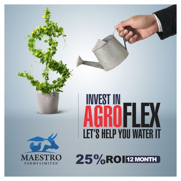 Investing Is an Act of Faith in the Future—AGRO FLEX Turns That Faith into Results