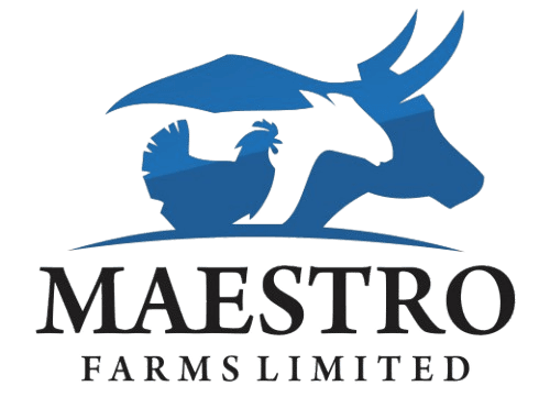 MAESTRO FARMS LIMITED