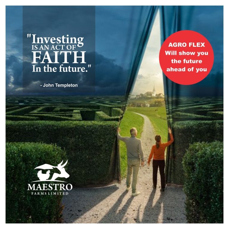 Investing Is an Act of Faith in the Future – AGRO FLEX Will Show You the Way