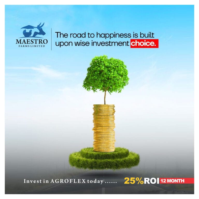 The road to happiness is built upon wise investment choices